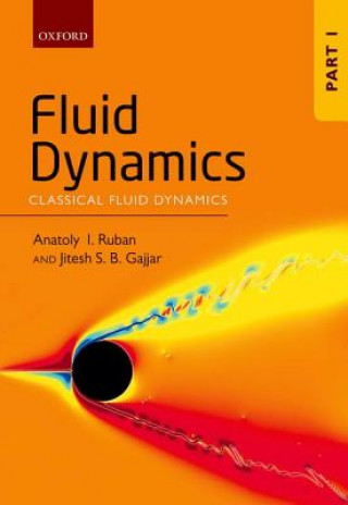 Carte Fluid Dynamics Anatoly I. Ruban