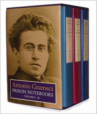 Book Prison Notebooks Antonio Gramsci