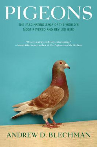 Könyv Pigeons Andrew Blechman