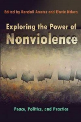 Könyv Exploring the Power of Nonviolence Randell Amster