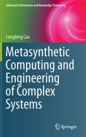Kniha Metasynthetic Computing and Engineering of Complex Systems Longbing Cao