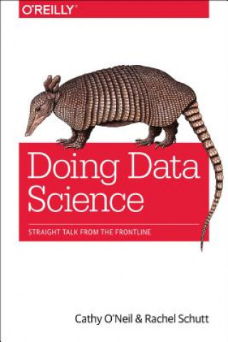 Könyv Doing Data Science Cathy ONeill