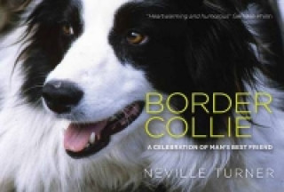Kniha Border Collie Neville Turner