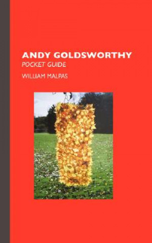 Könyv Andy Goldsworthy William Malpas