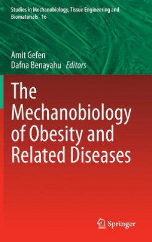 Könyv Mechanobiology of Obesity and Related Diseases Amit Gefen