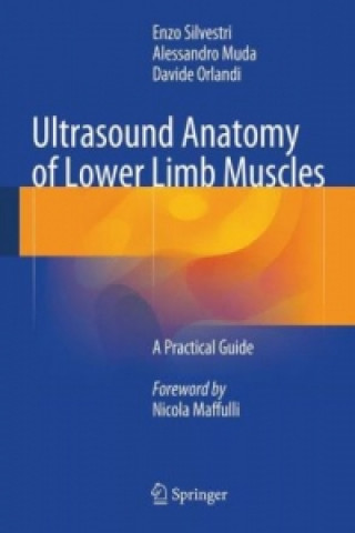 Książka Ultrasound Anatomy of Lower Limb Muscles Enzo Silvestri