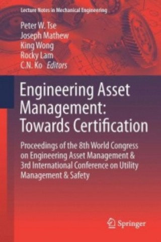 Kniha Engineering Asset Management - Systems, Professional Practices and Certification Peter Wai Tat Tse