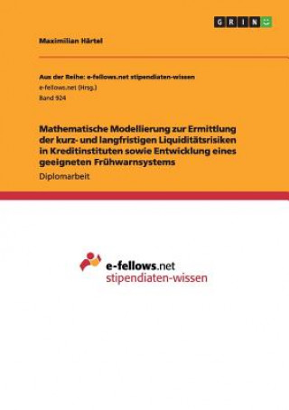 Book Mathematische Modellierung zur Ermittlung der kurz- und langfristigen Liquiditatsrisiken in Kreditinstituten sowie Entwicklung eines geeigneten Fruhwa Maximilian Härtel