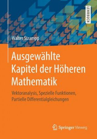 Kniha Ausgewählte Kapitel der Höheren Mathematik Walter Strampp