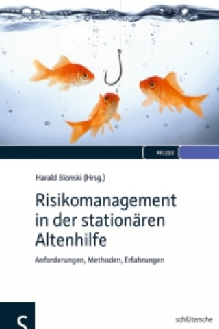 Kniha Risikomanagement in der stationären Altenhilfe Harald Blonski