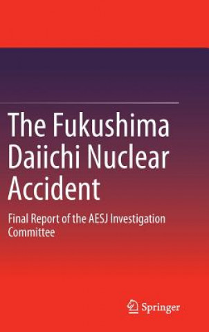 Książka Fukushima Daiichi Nuclear Accident 