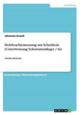 Book Holzfeuchtemessung am Scheitholz (Unterweisung Schornsteinfeger / in) Johannes Grosch