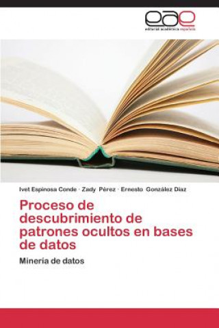 Könyv Proceso de Descubrimiento de Patrones Ocultos En Bases de Datos Espinosa Conde Ivet