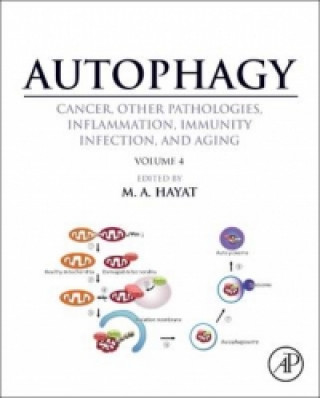 Kniha Autophagy: Cancer, Other Pathologies, Inflammation, Immunity, Infection, and Aging M. A. Hayat