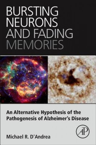 Könyv Bursting Neurons and Fading Memories Michael D'Andrea