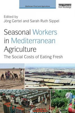 Könyv Seasonal Workers in Mediterranean Agriculture Jorg Gertel