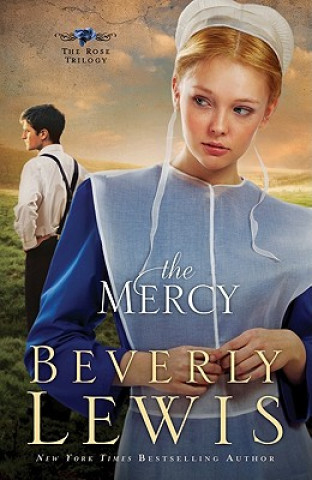 Kniha Mercy Beverly Lewis