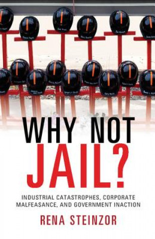 Libro Why Not Jail? Rena Steinzor