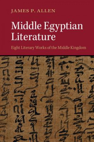 Kniha Middle Egyptian Literature James P. Allen