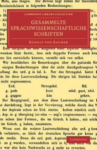 Könyv Gesammelte sprachwissenschaftliche Schriften Rudolf Raumer