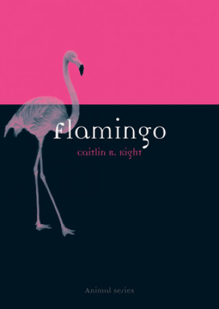 Книга Flamingo Caitlin Kight