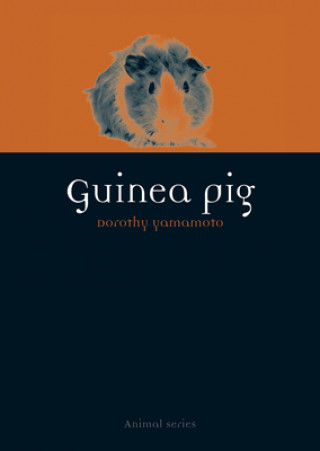 Kniha Guinea Pig Dorothy Yamamoto