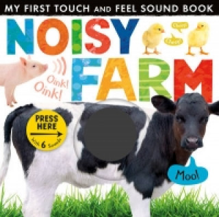 Kniha Noisy Farm Little Tiger Press