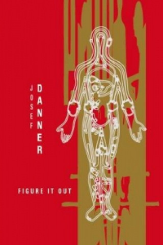 Kniha Josef Danner: Figure it Out Josef Danner