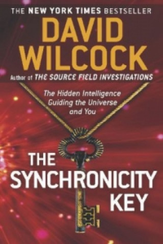 Kniha Synchronicity Key David Wilcock