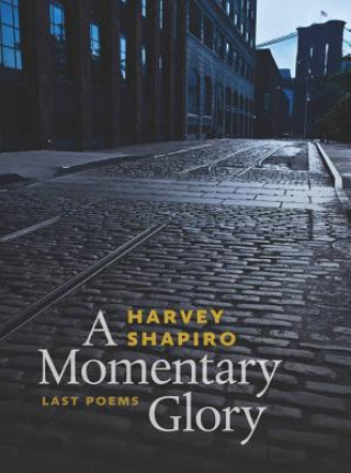 Buch Momentary Glory Harvey Shapiro