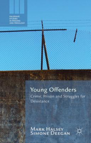 Kniha Young Offenders Mark Halsey