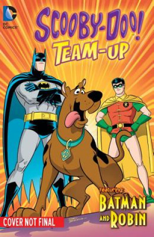 Kniha Scooby-Doo Team-Up Sholly Fisch