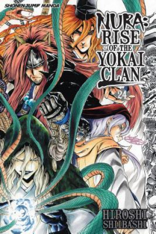 Kniha Nura: Rise of the Yokai Clan, Vol. 24 Hiroshi Shiibashi