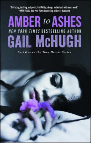 Kniha Amber to Ashes Gail McHugh