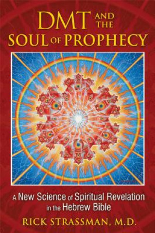 Kniha DMT and the Soul of Prophecy Rick Strassman