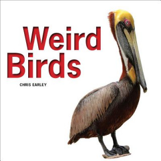 Kniha Weird Birds Chris Earley