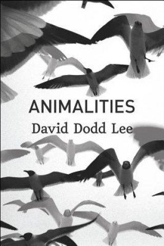 Carte Animalities David Dodd Lee