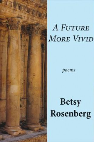 Kniha Future More Vivid Betsy Rosenberg