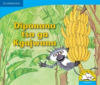 Book Dipanana tsa ga Kgajwana (Setswana) Sue Hepker