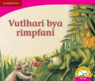 Kniha Vuthlari bya rimpfani (Xitsonga) Monika Hollemann