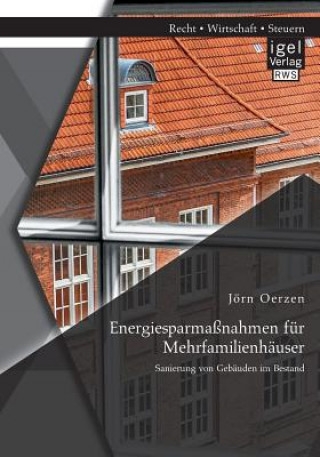 Kniha Energiesparmassnahmen fur Mehrfamilienhauser Jörn Oerzen