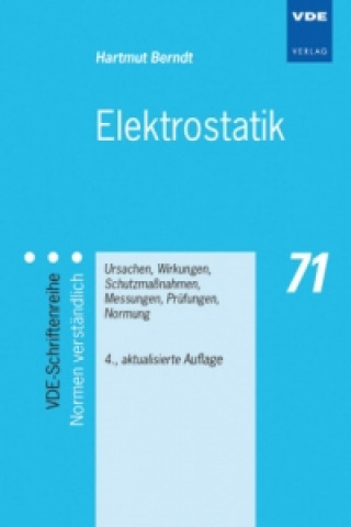 Kniha Elektrostatik Hartmut Berndt