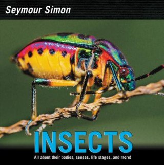 Libro Insects Seymour Simon