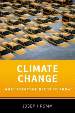 Buch Climate Change Joseph Romm