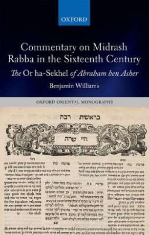 Книга Commentary on Midrash Rabba in the Sixteenth Century Benjamin Williams