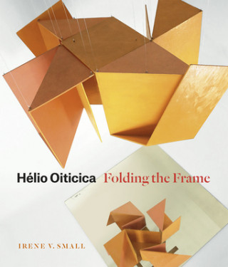 Livre Helio Oiticica Irene V. Small