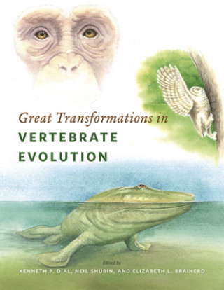 Kniha Great Transformations in Vertebrate Evolution Kenneth P. Dial