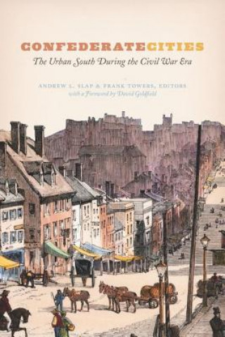 Book Confederate Cities Andrew L. Slap