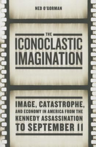 Knjiga Iconoclastic Imagination Ned O'Gorman