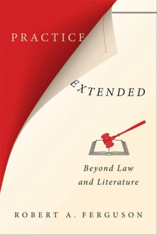 Livre Practice Extended Robert A. Ferguson